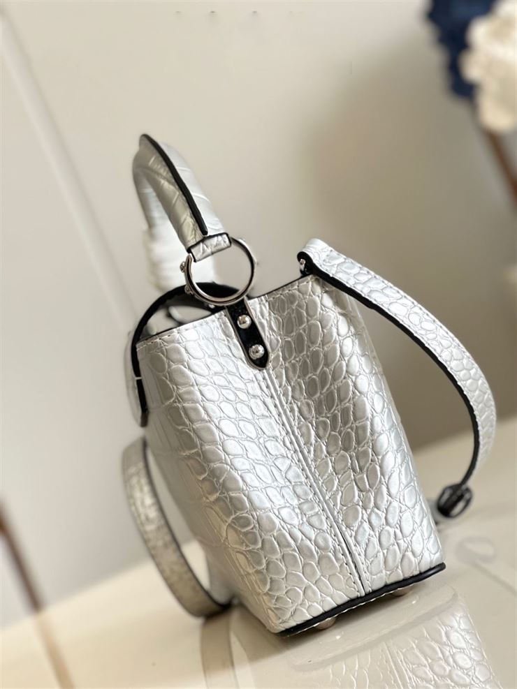 LOUIS VUITTON CAPUCINES MINI Silver – LW065