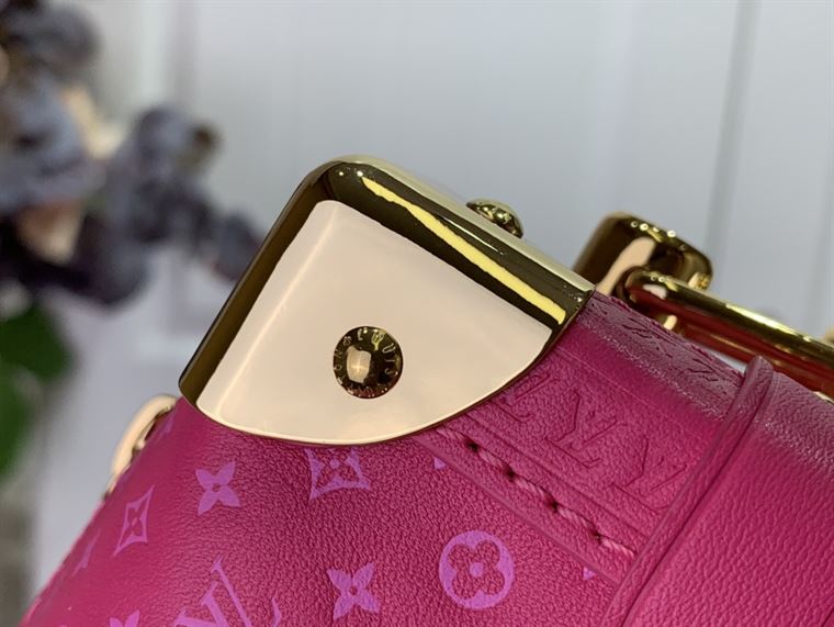 LOUIS VUITTON SIDE TRUNK Pink – LW088