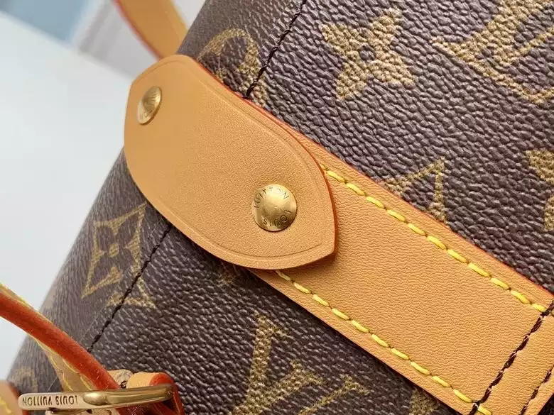 Soft Trunk Backpack Monogram PM in Brown – LW165