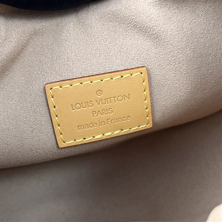 LOUIS VUITTON LOOP HANDBAG MONOGRAM BROWN – LW029