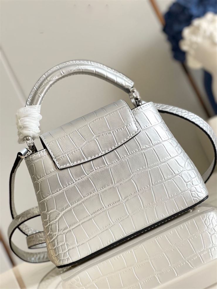 LOUIS VUITTON CAPUCINES MINI Silver – LW065