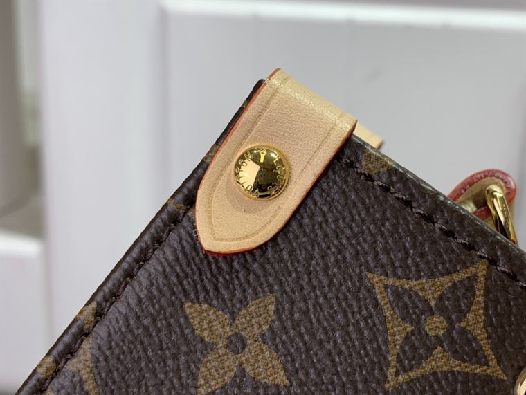 LOUIS VUITTON LV X YK ONTHEGO PM PUMPKIN MONOGRAM – LW110