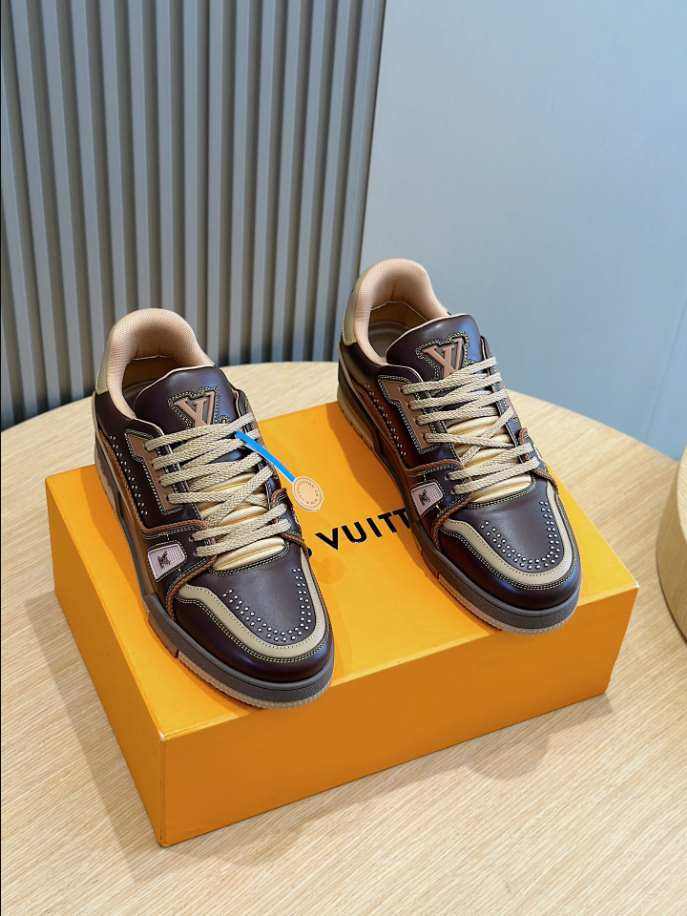 Louis Vuitton LV Trainer Marron Brown Sneaker – LVS207