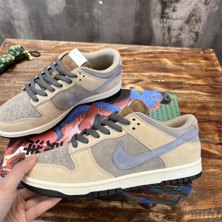 NIKE SB DUNK LOW SNEAKER – NSN002