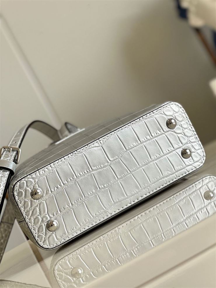 LOUIS VUITTON CAPUCINES MINI Silver – LW065