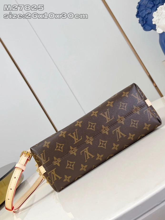 Louis Vuitton Multipass Monogram Canvas Bag – LW461