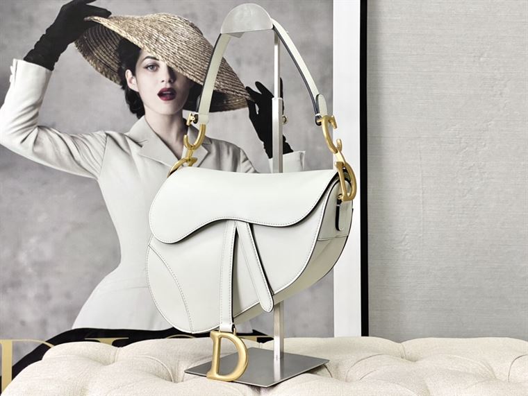 DIOR SADDLE BAG WITH STRAP – DOB036