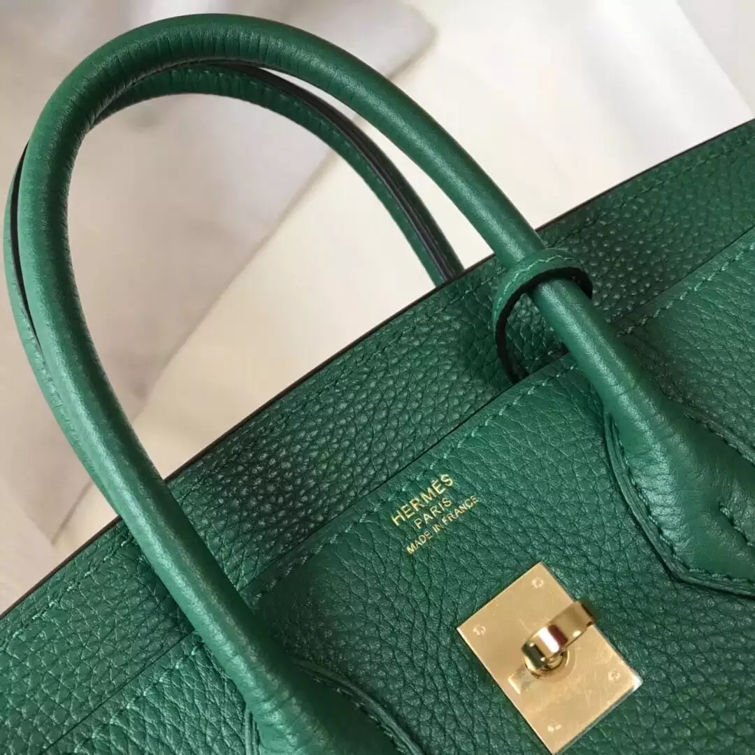 Hermes Birkin 25cm Bag In Vert Vertigo Clemence Leather GHW – HW016