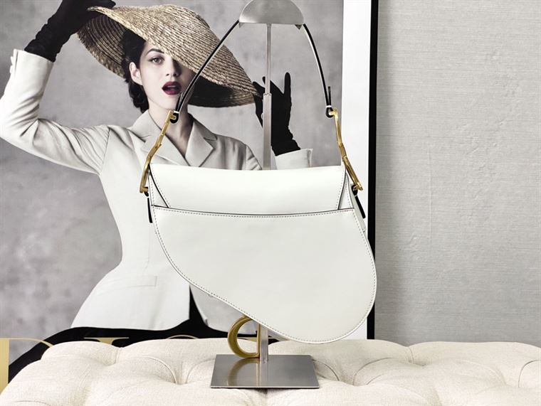 DIOR SADDLE BAG WITH STRAP – DOB036