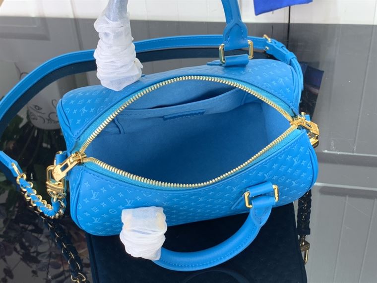 LOUIS VUITTON SPEEDY BANDOULIERE 20 Blue – LW091