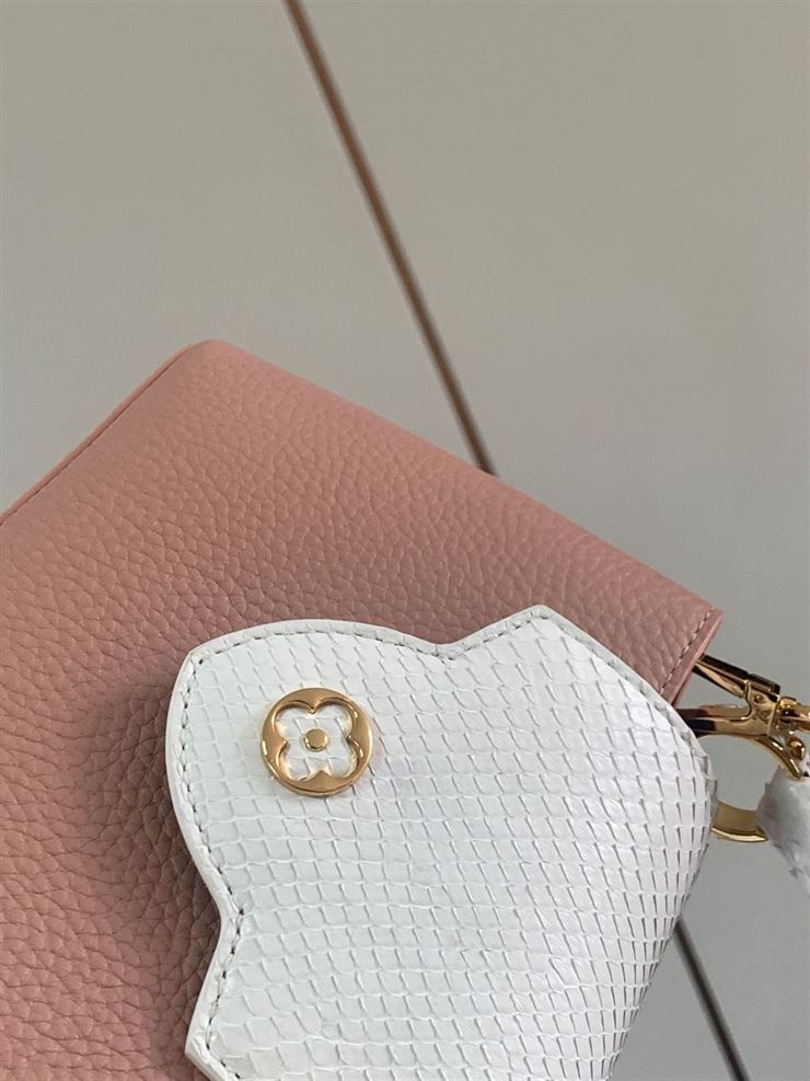 LOUIS VUITTON CAPUCINES MINI Pink – LW045