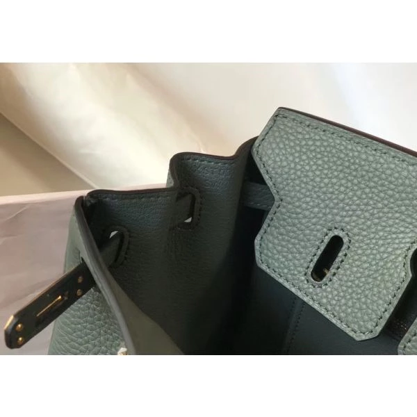 Hermes Birkin 25cm Bag In Vert Amande Clemence Leather GHW – HW008