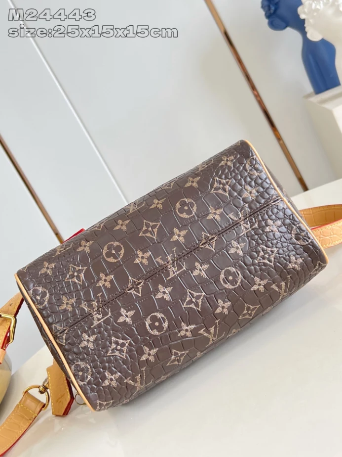 Louis Vuitton Speedy P9 Bandoulière 25 – LW468