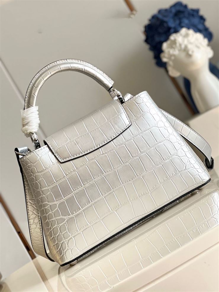 LOUIS VUITTON CAPUCINES BB Silver – LW064