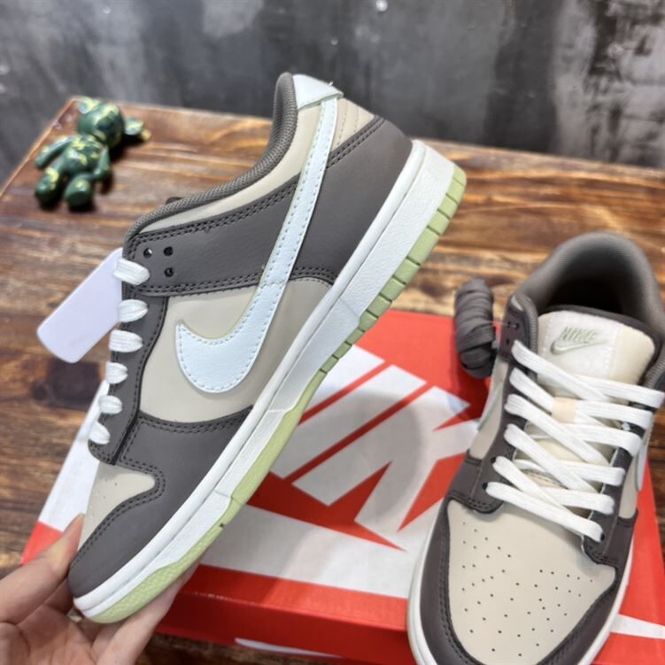 NIKE SB DUNK LOW SNEAKER – NSN018