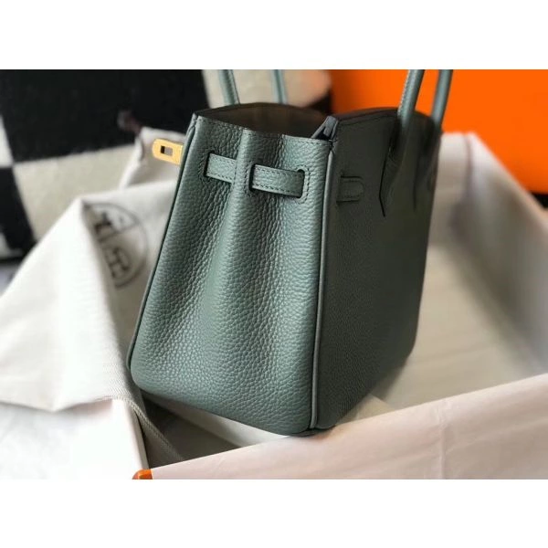 Hermes Birkin 25cm Bag In Vert Amande Clemence Leather GHW – HW008
