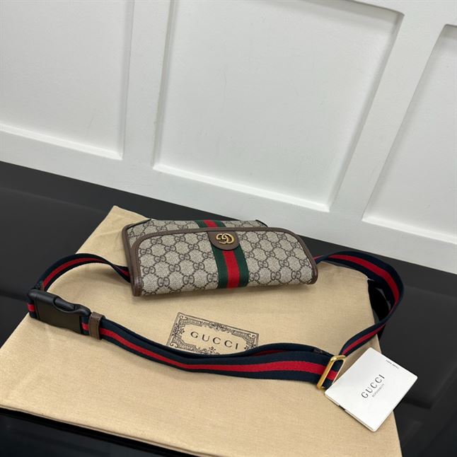 GUCCI OPHIDIA GG SMALL BELT BAG – BG048