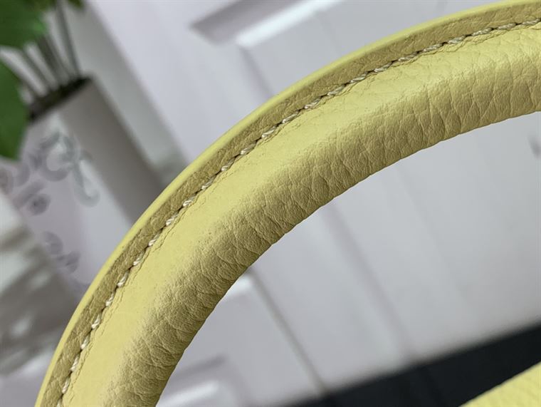 LOUIS VUITTON CAPUCINES MM Yellow – LW099