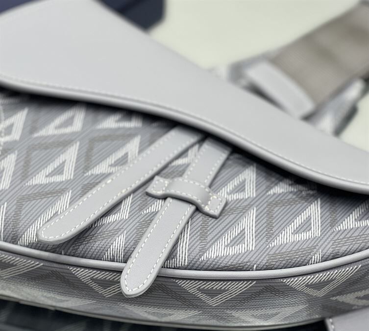 DIOR MINI SADDLE BAG GRAY CD DIAMOND CANVAS AND SMOOTH CALFSKIN – DIO005