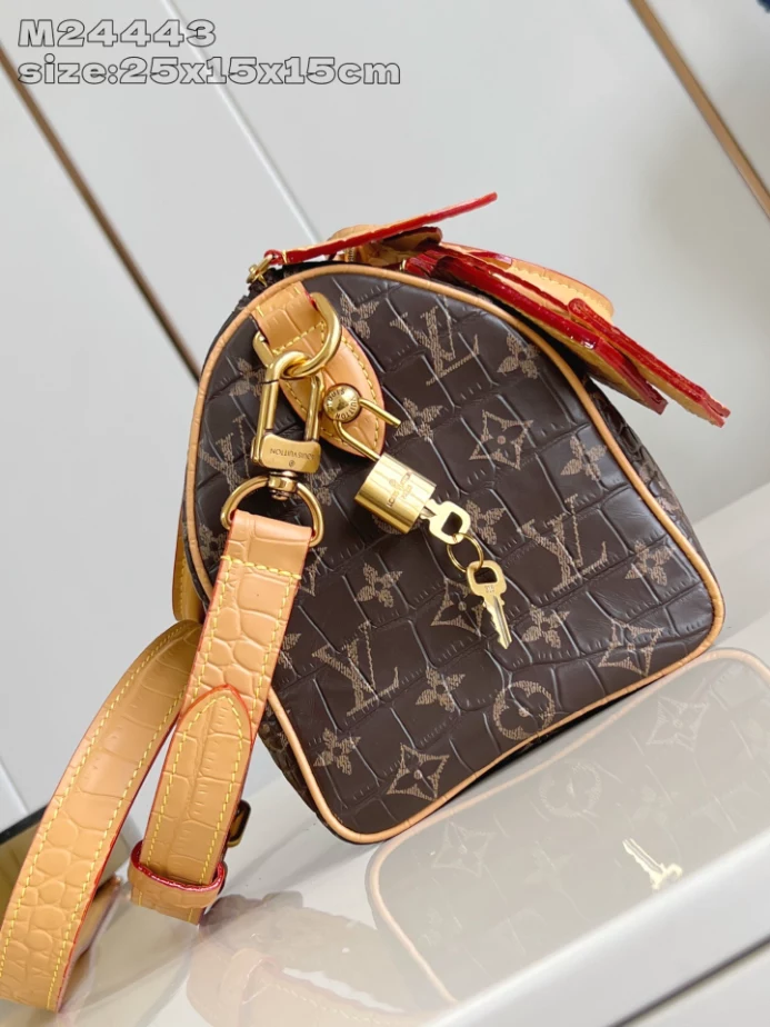 Louis Vuitton Speedy P9 Bandoulière 25 – LW468