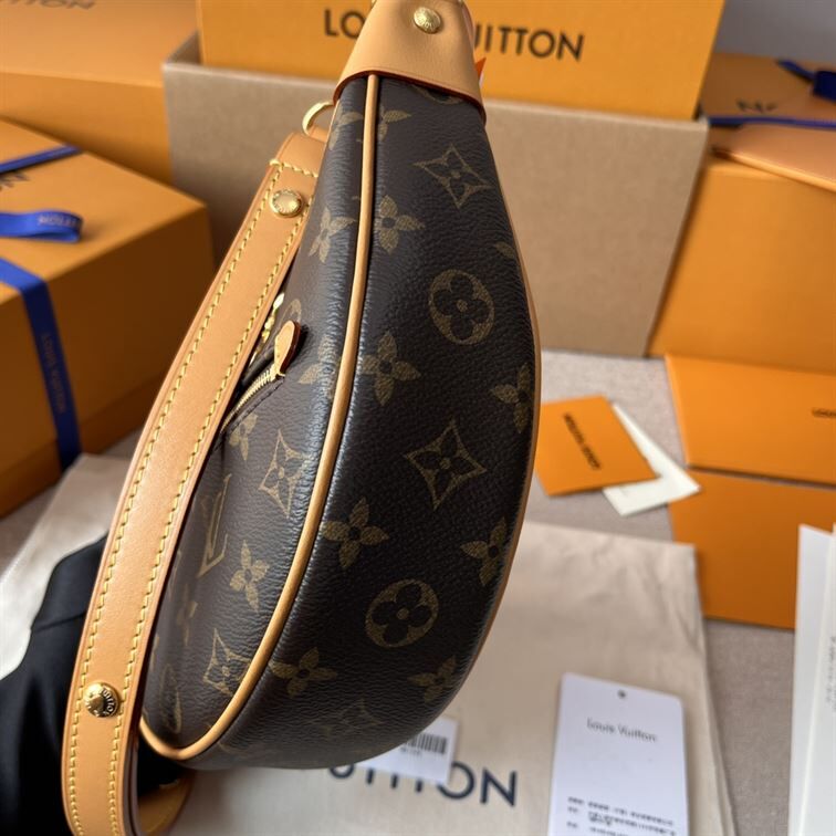 LOUIS VUITTON LOOP HANDBAG MONOGRAM BROWN – LW029