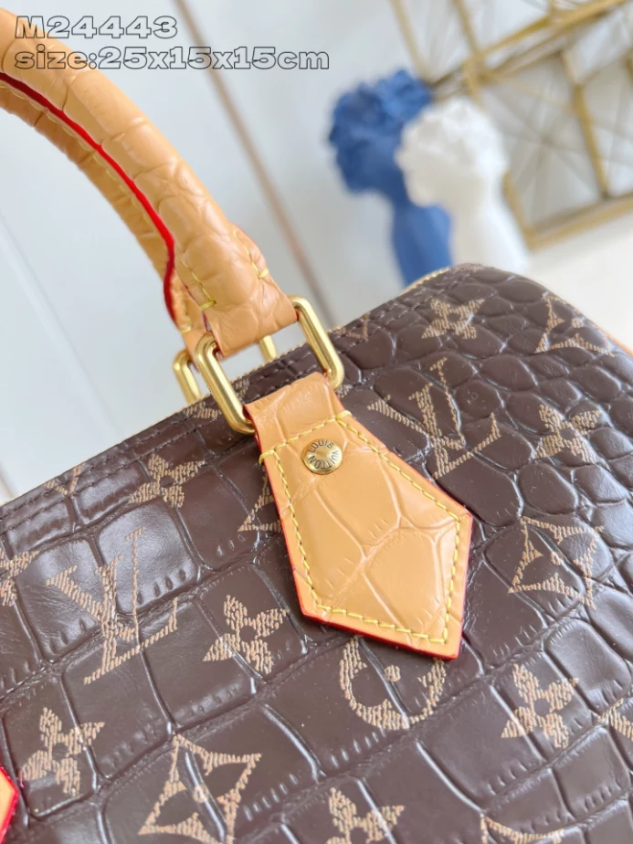 Louis Vuitton Speedy P9 Bandoulière 25 – LW468