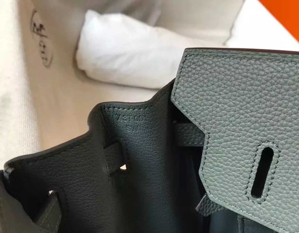 Hermes Birkin 30cm Bag In Vert Amande Clemence Leather GHW – HW021