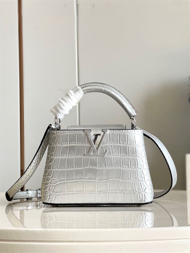 LOUIS VUITTON CAPUCINES MINI Silver – LW065