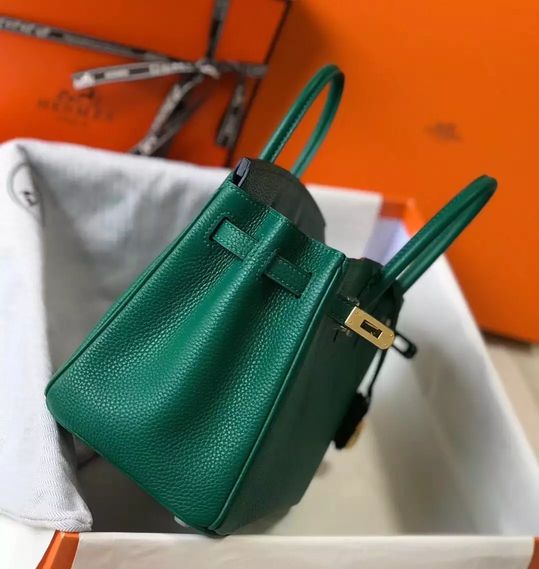 Hermes Birkin 25cm Bag In Vert Vertigo Clemence Leather GHW – HW016