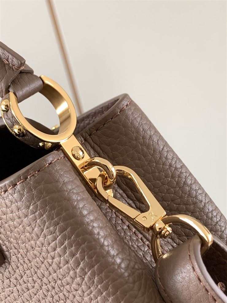 LOUIS VUITTON CAPUCINES MINI – LW046