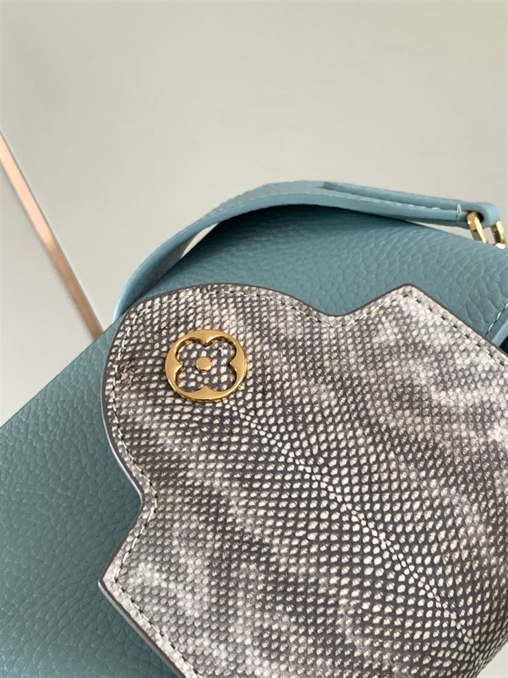 LOUIS VUITTON CAPUCINES MINI – LW028