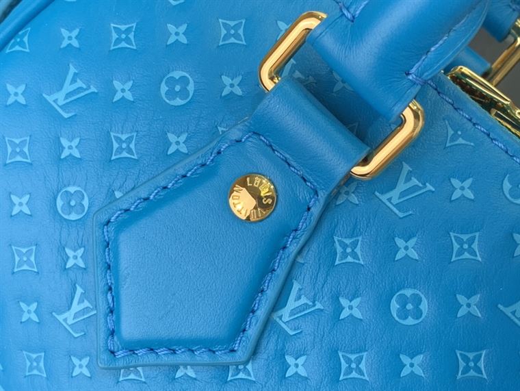 LOUIS VUITTON SPEEDY BANDOULIERE 20 Blue – LW091