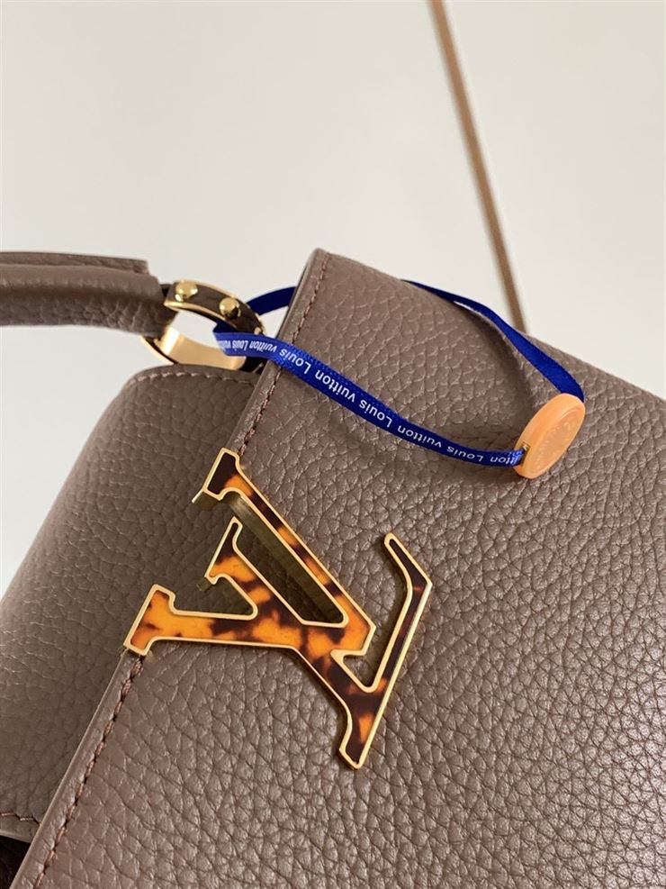 LOUIS VUITTON CAPUCINES MINI – LW046