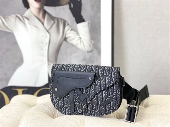 DIOR SADDLE POUCH – DIO012