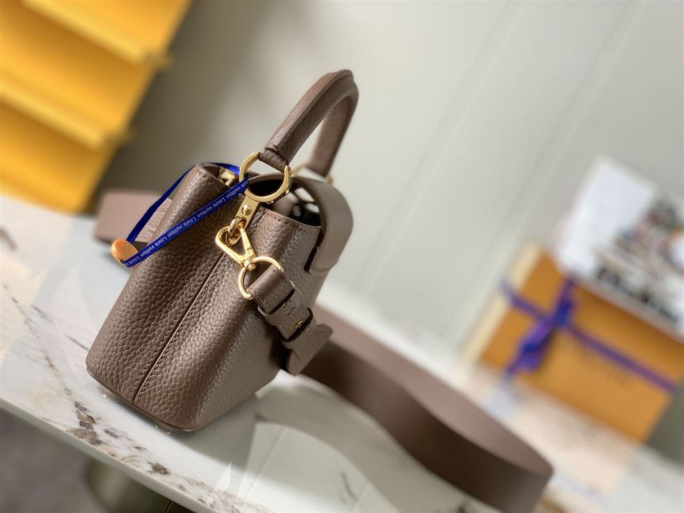 LOUIS VUITTON CAPUCINES MINI – LW046