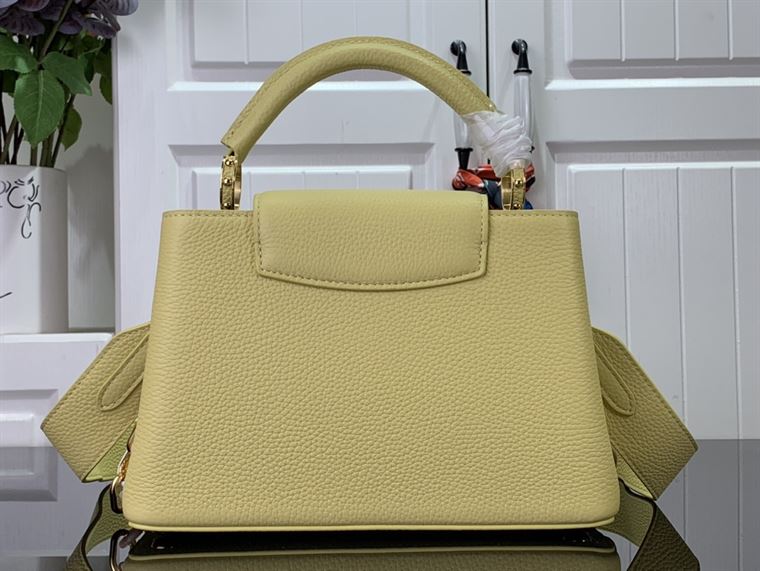 LOUIS VUITTON CAPUCINES BB YELLOW – LW102