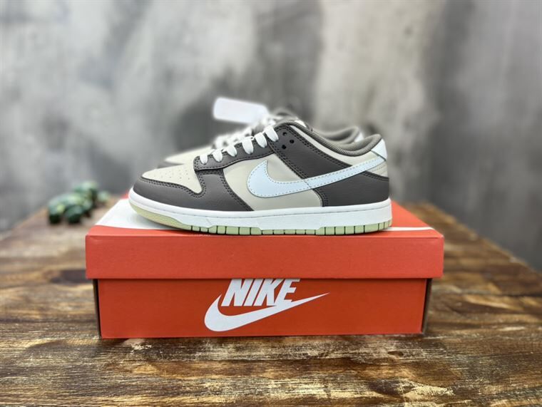 NIKE SB DUNK LOW SNEAKER – NSN018