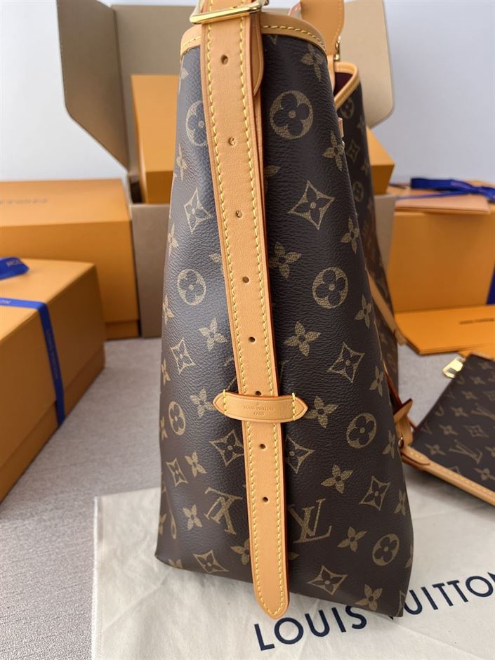 LOUIS VUITTON CARRYALL MM MONOGRAM – LW055