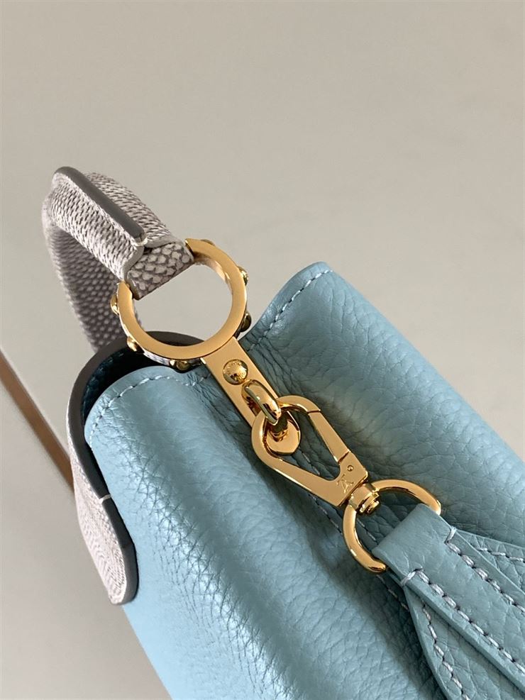 LOUIS VUITTON CAPUCINES MINI – LW028