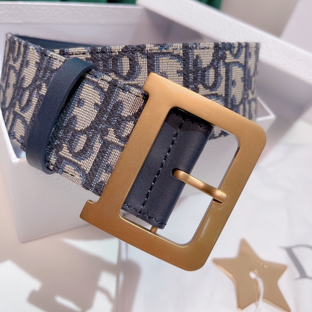DIOR LOGO PLAQUE BELT – DB005