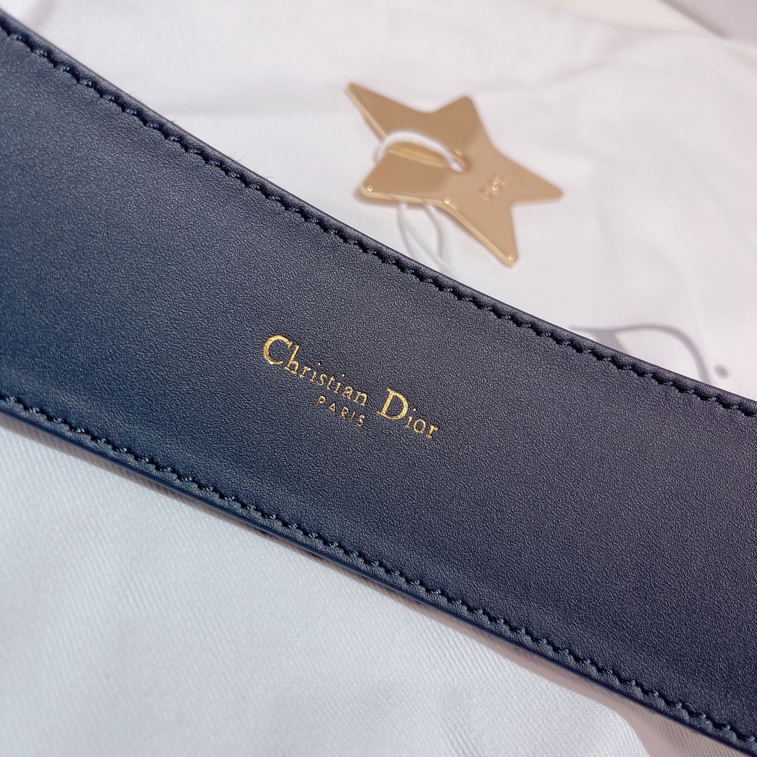 DIOR LOGO PLAQUE BELT – DB005