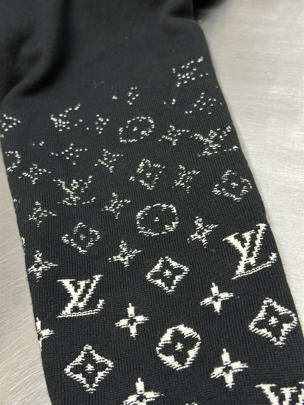 LOUIS VUITTON GRADIENT COTTON HOODIE – LH070