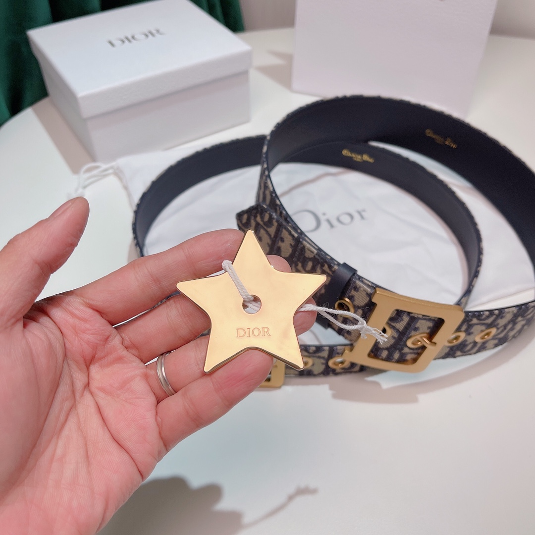 DIOR LOGO PLAQUE BELT – DB005