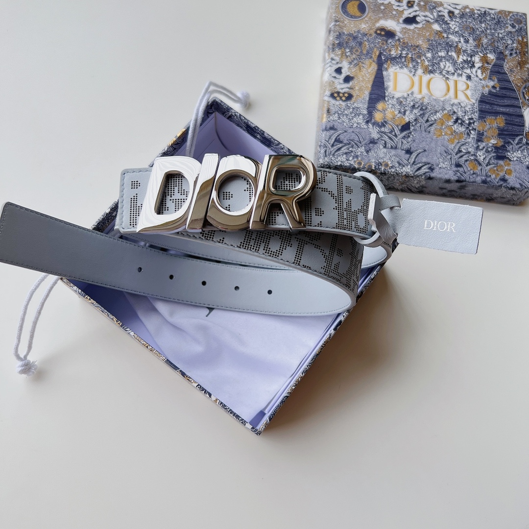 Dior Printed Silver Buckle Belt – DB019