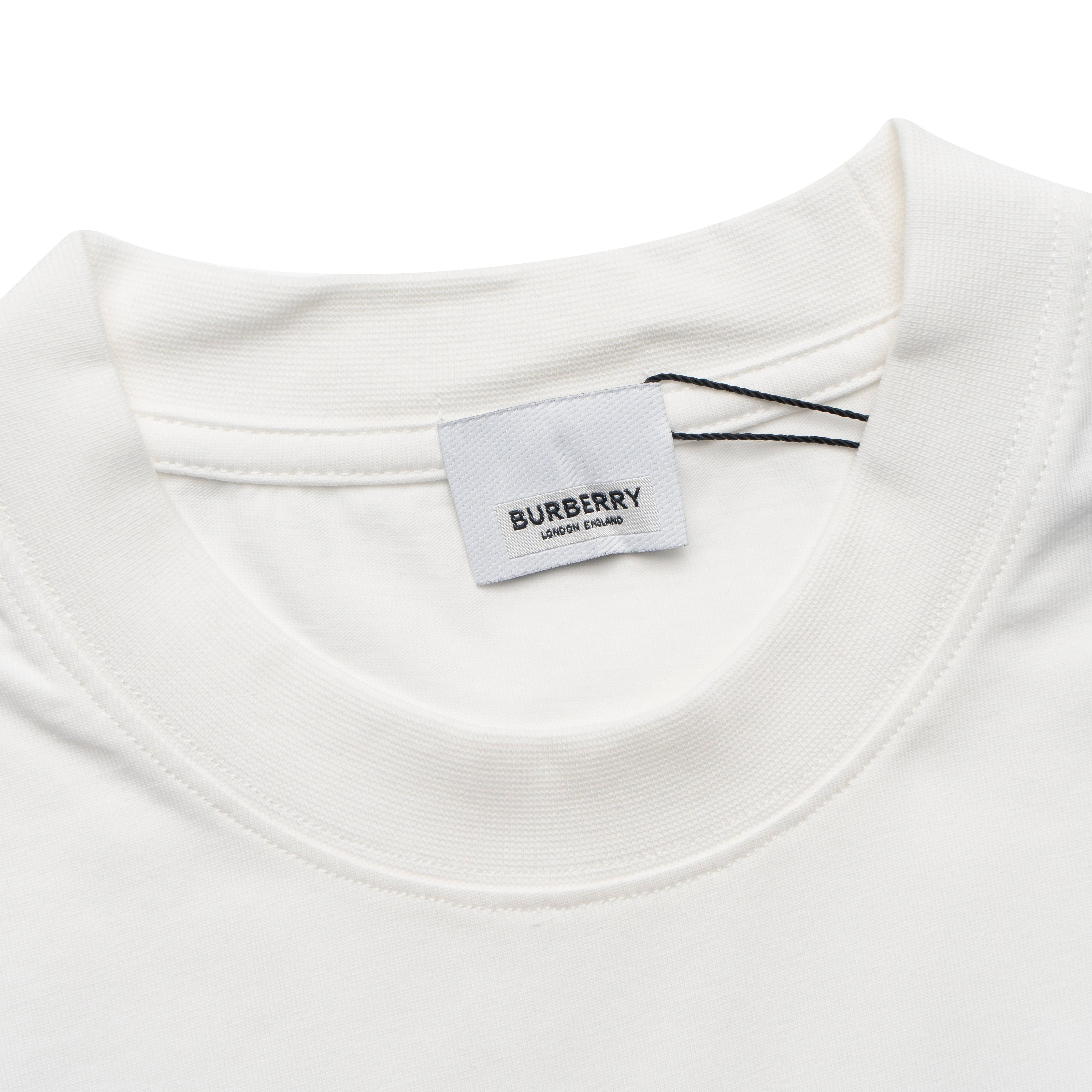 Printed T-Shirt: High-End Fashion Statement-1183