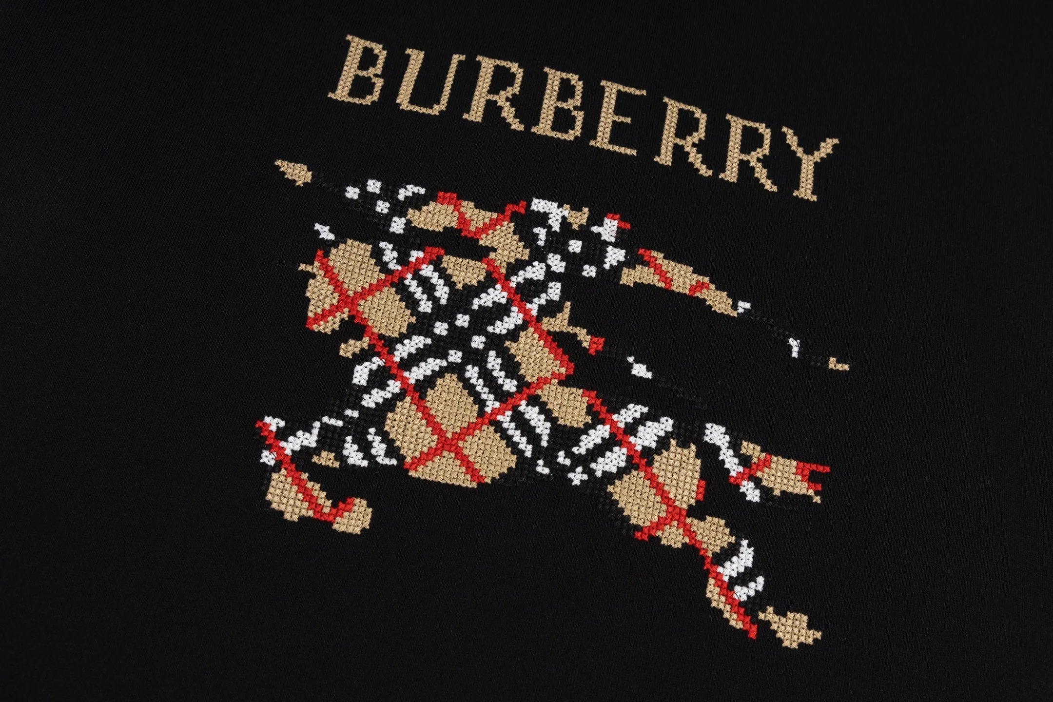 Embroidered cotton sweatshirt