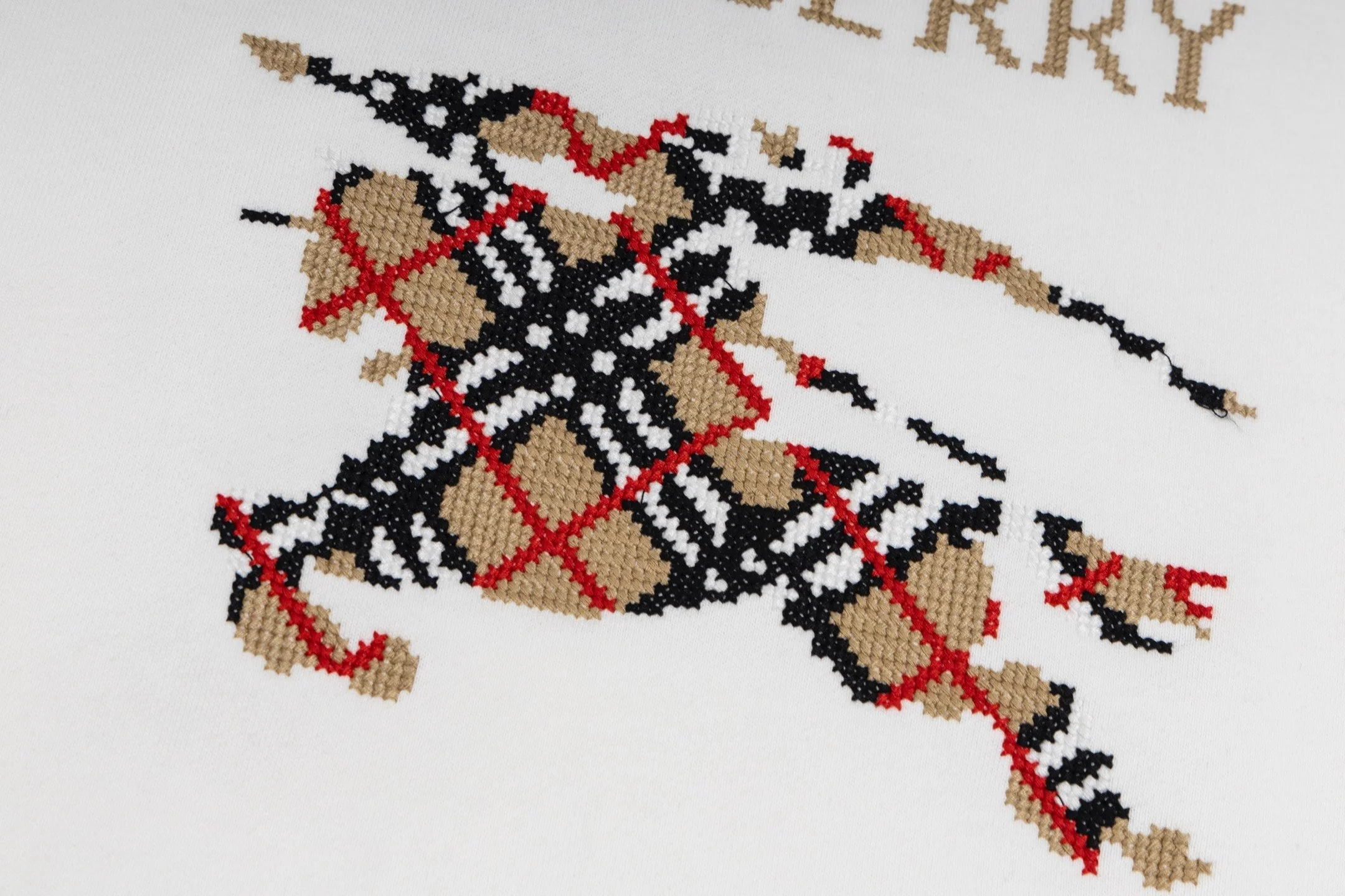 Embroidered cotton sweatshirt