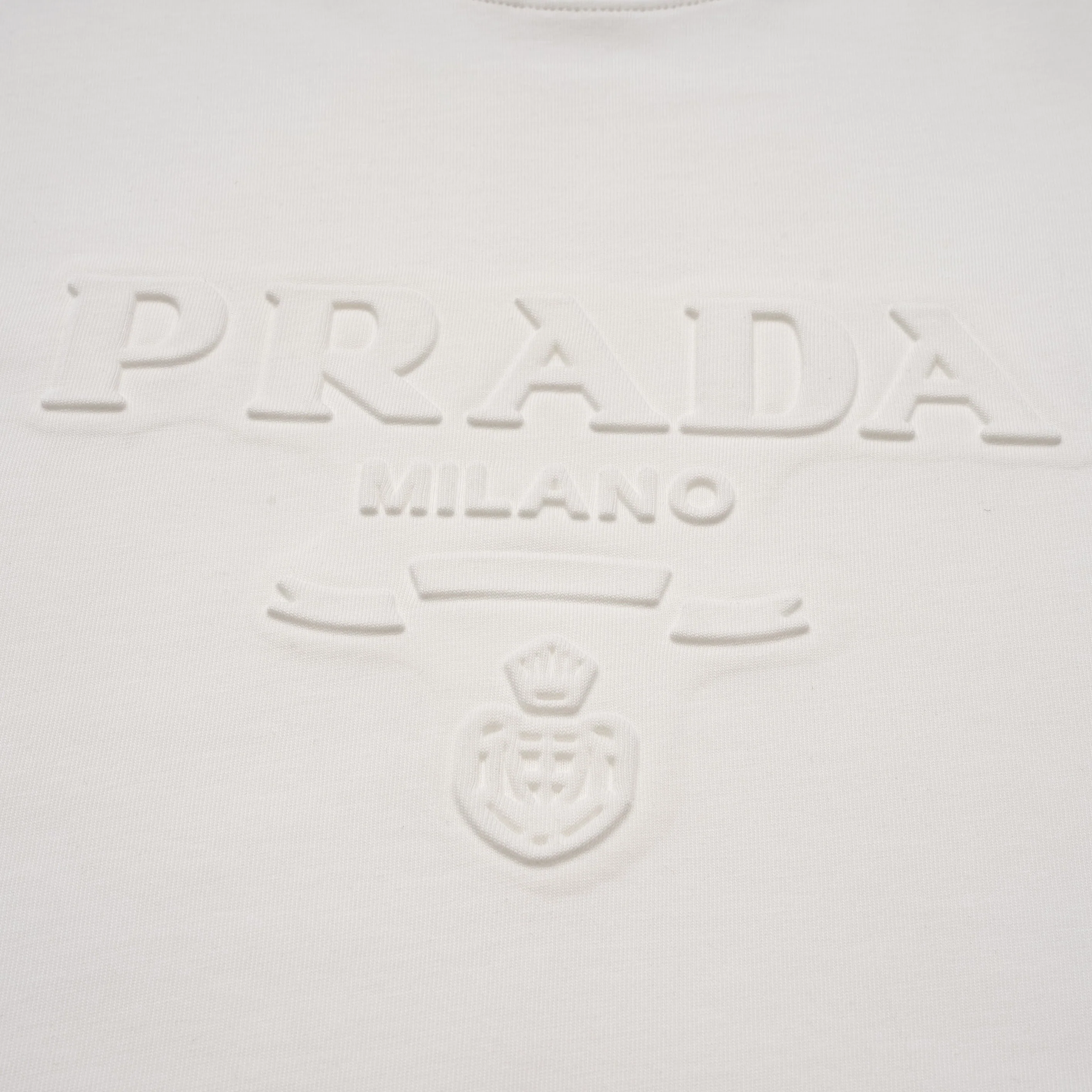 Printed T-Shirt: High-End Fashion Statement-1172