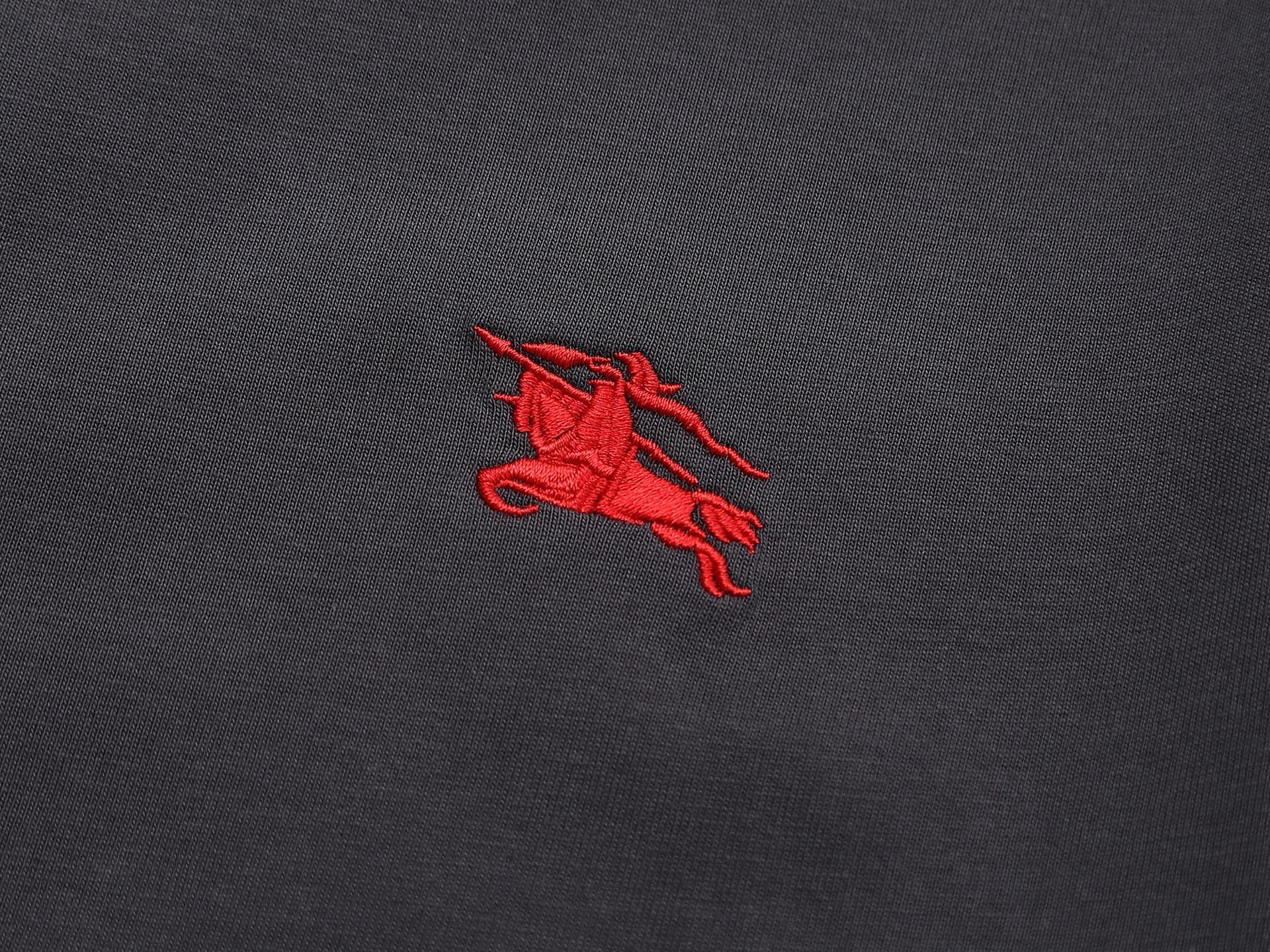 Embroidered cotton T-shirt