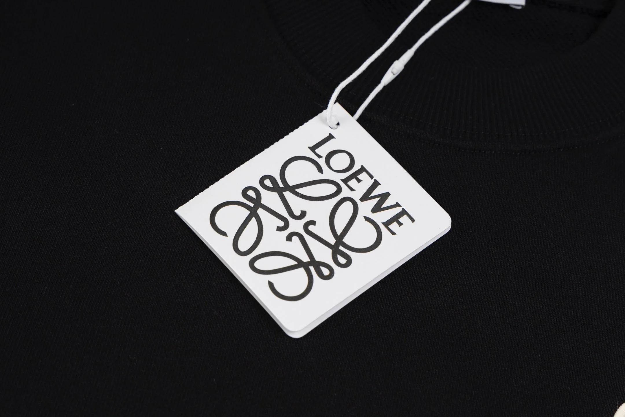 Embroidery crew neck cotton sweatshirt